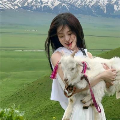 翻译疑云